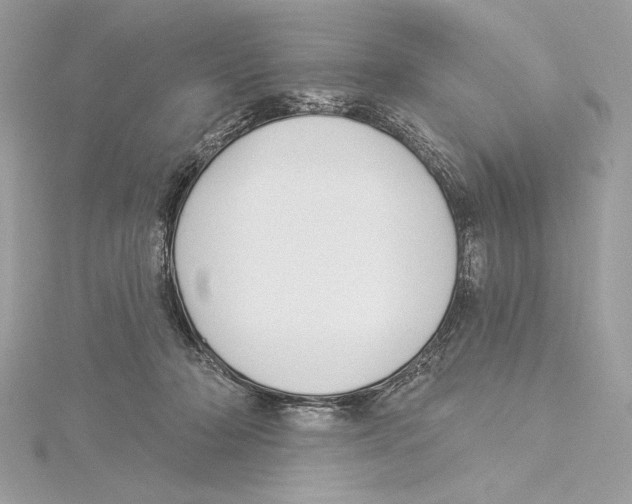 X0000115360318200912011118