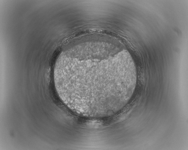 X0000115360319200912011118