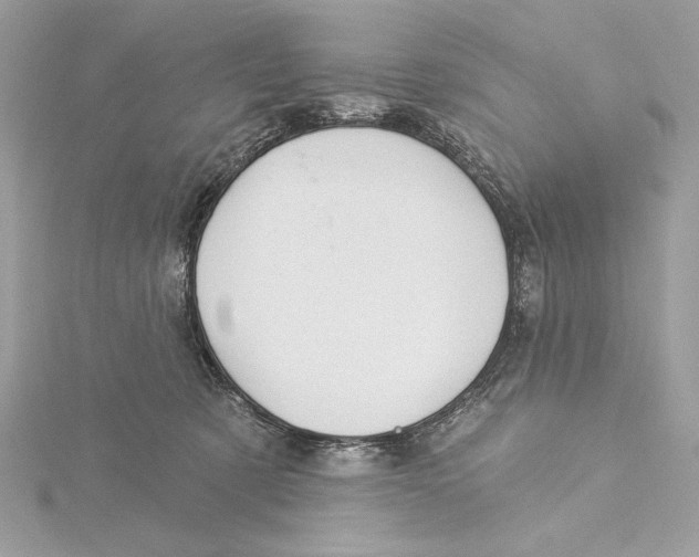 X0000115360321200912011118