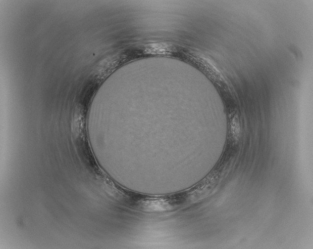 X0000115360322200912011118