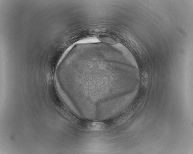 X0000115360324200912011118