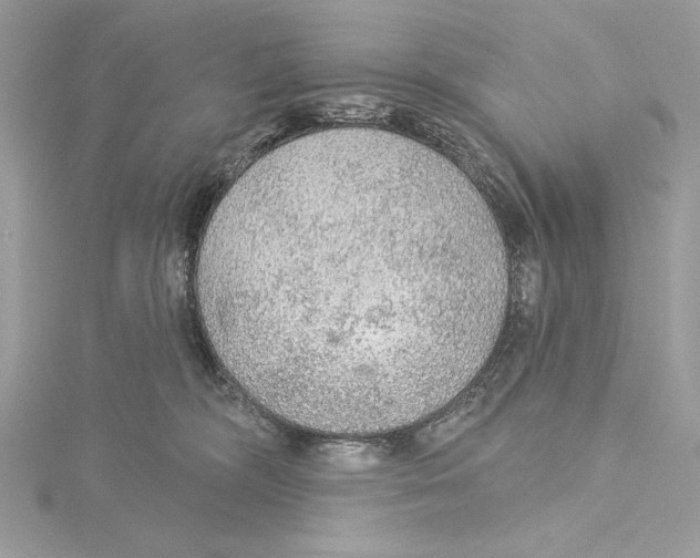 X0000115360326200912011118