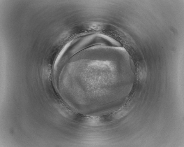 X0000115360328200912011118