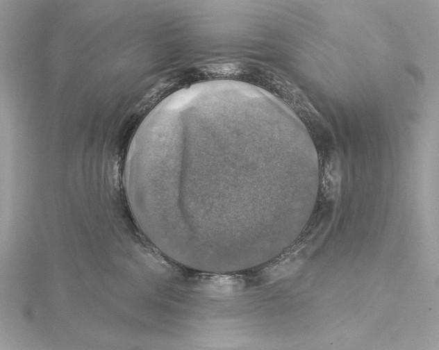 X0000115360330200912011118