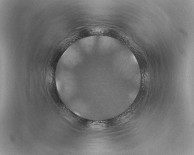 X0000115360331200912011118