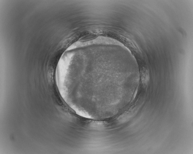 X0000115360332200912011118