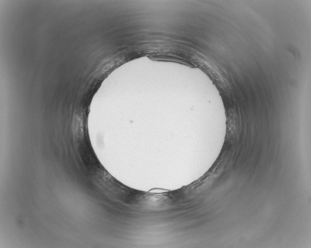 X0000115360333200912011118