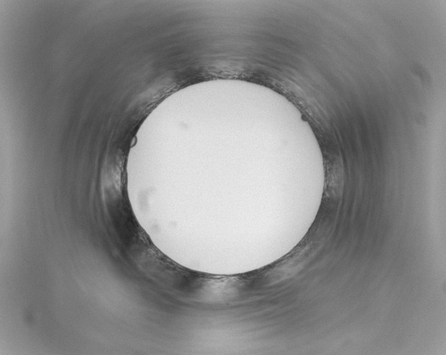 X0000115360334200912011118