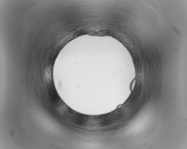 X0000115360335200912011118