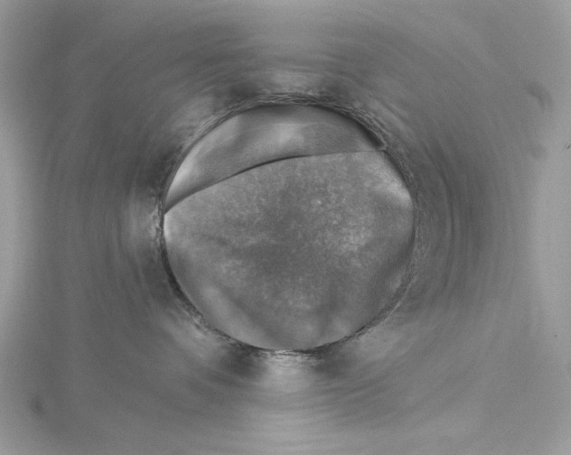 X0000115360336200912011118