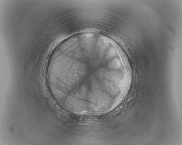 X0000115360337200912011117
