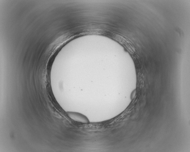 X0000115360338200912011117