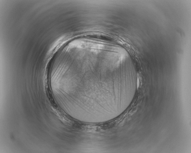X0000115360339200912011117