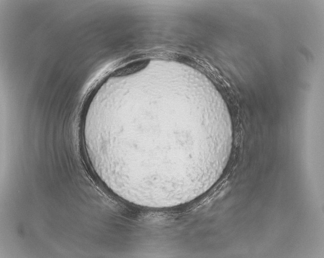 X0000115360341200912011117