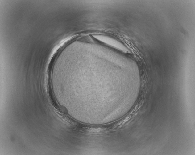X0000115360342200912011117