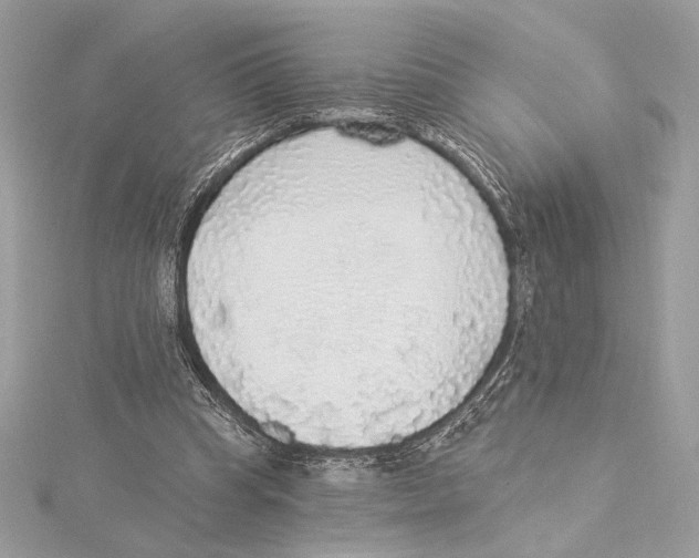 X0000115360345200912011117
