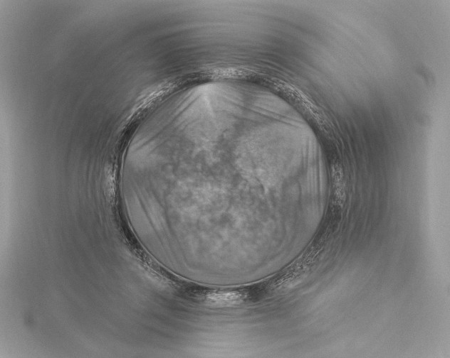 X0000115360357200912011118