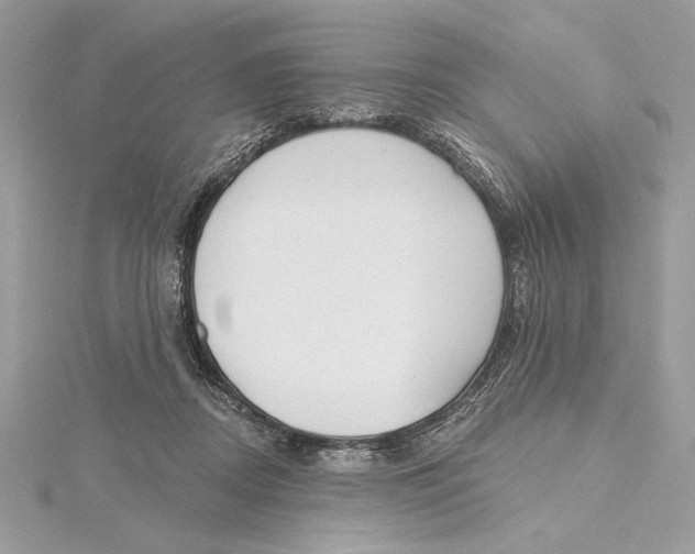 X0000115360362200912011118