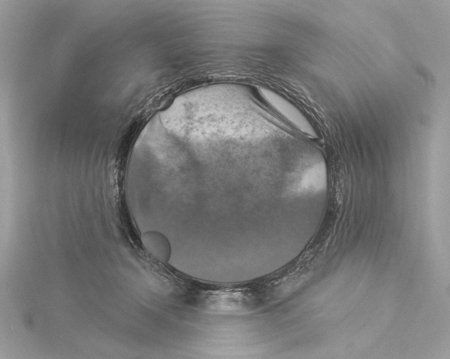 X0000115360366200912011118