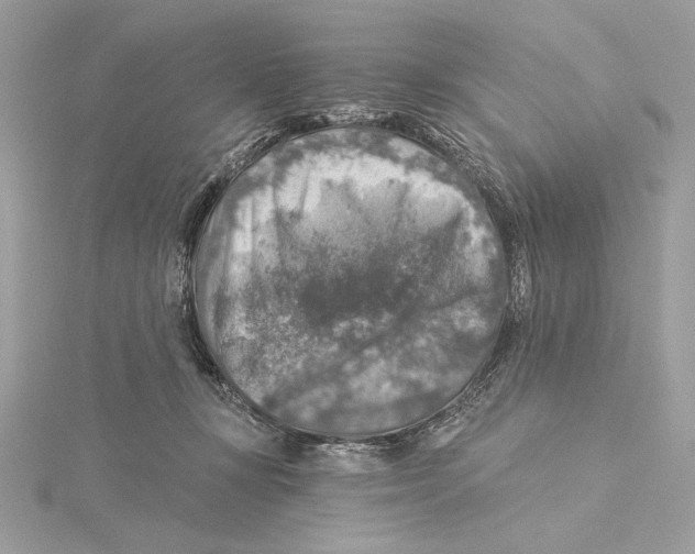 X0000115360367200912011118