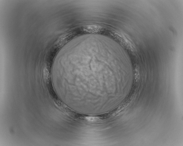 X0000115360371200912011118