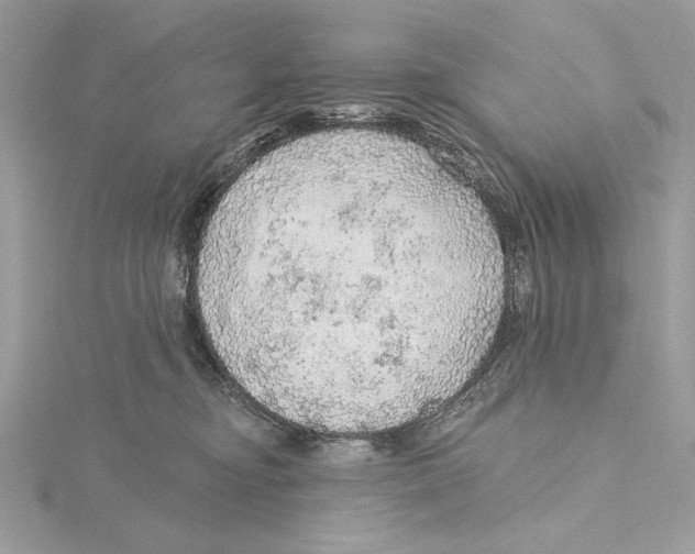 X0000115360374200912011118