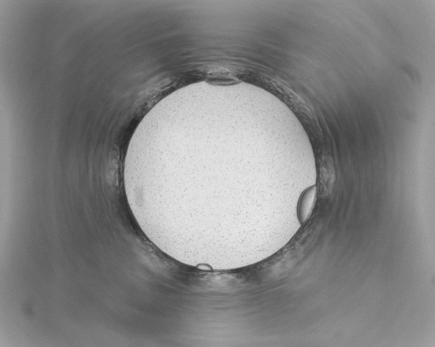 X0000115360379200912011118