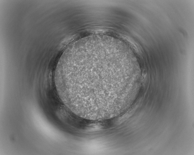 X0000115360381200912011118