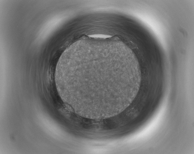 X0000115360382200912011118