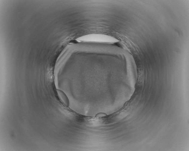 X0000115360383200912011118