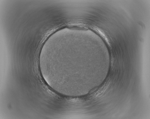 X0000115360385200912011117