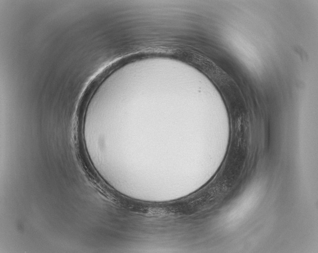 X0000115360388200912011117