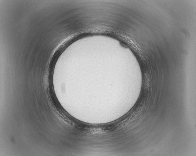 X0000115360392200912011117