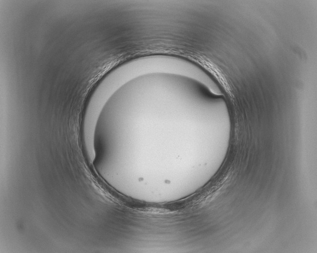 X0000115360393200912011117