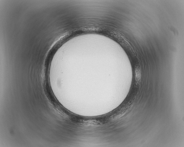 X0000115360396200912011117