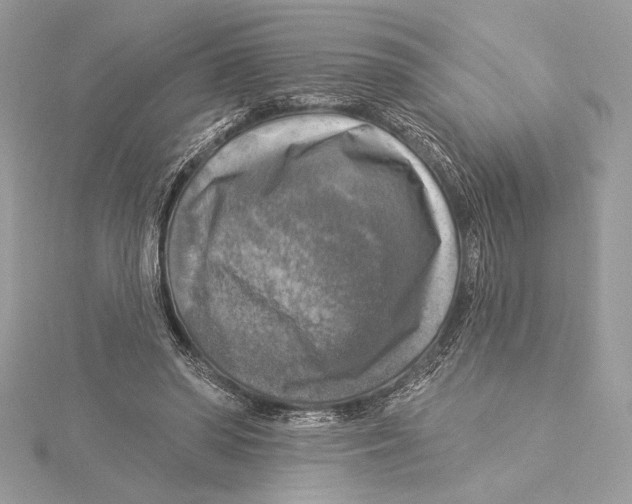 X0000115360398200912011117