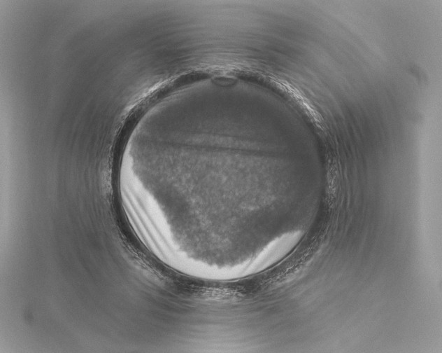 X0000115360399200912011117