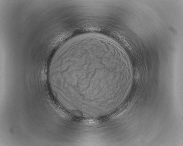 X0000115360402200912011117
