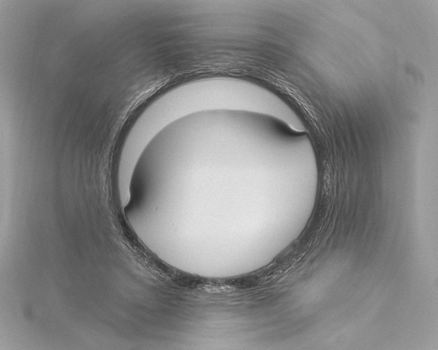 X0000115360403200912011117