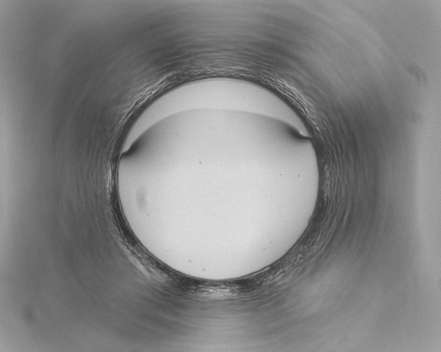 X0000115360405200912011117