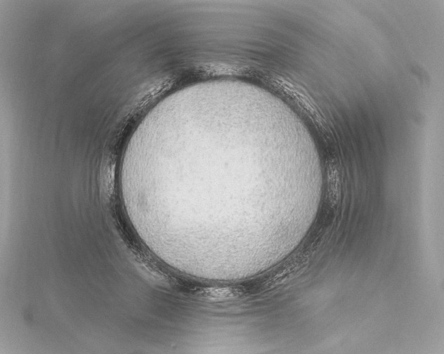 X0000115360406200912011117
