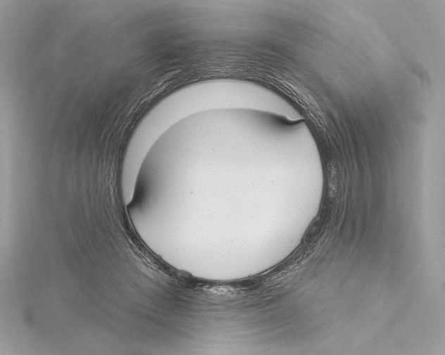 X0000115360409200912011117