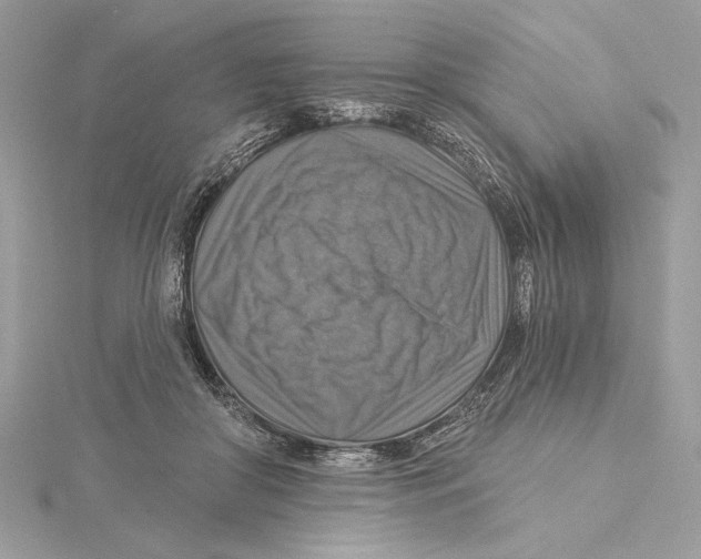 X0000115360410200912011117