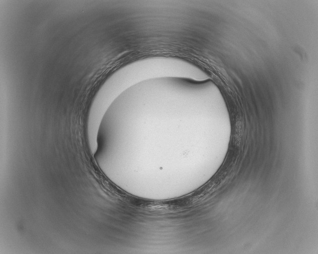 X0000115360413200912011117