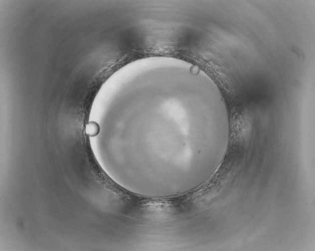 X0000115360415200912011117