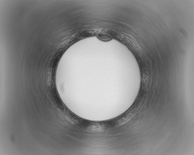 X0000115360416200912011117