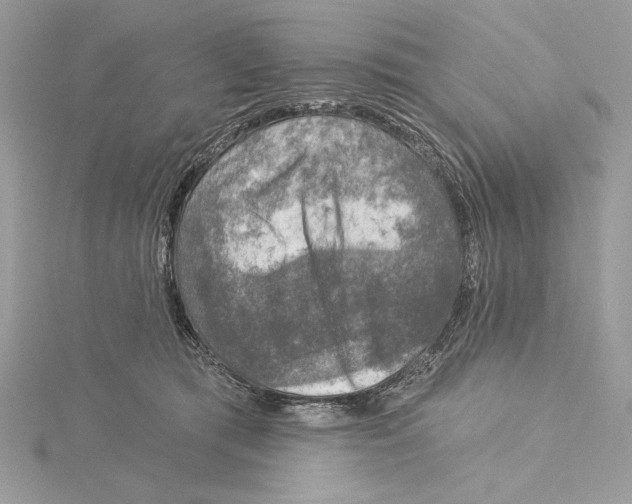 X0000115360417200912011117