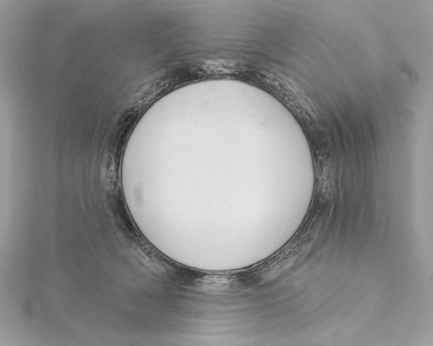 X0000115360418200912011117