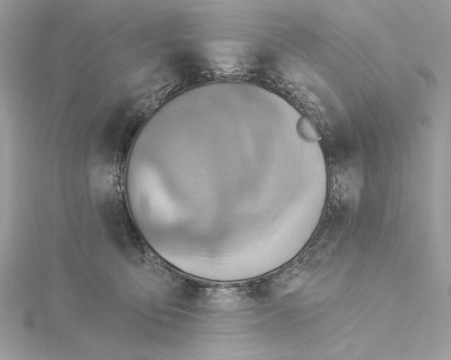 X0000115360419200912011117