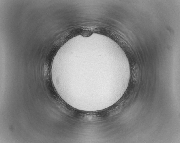 X0000115360420200912011117
